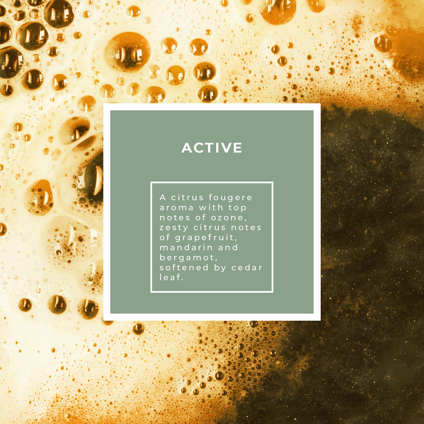 Pecksniffs Active 3-In-1 Cleansing Gel | 1L/1000 ml/33.81 Fl Oz