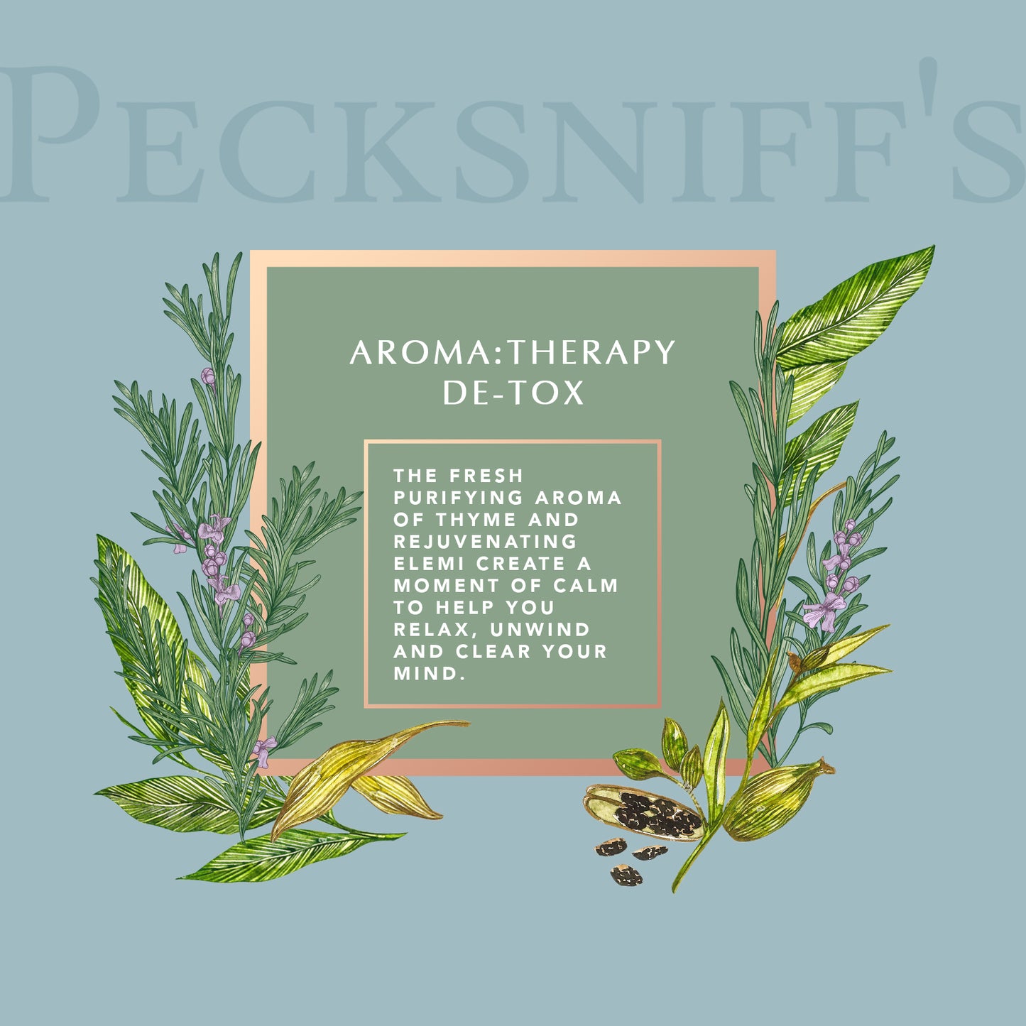 Pecksniff's Aroma Therapy De-Tox Reed Diffuser, 100 ml/3.38 Fl Oz