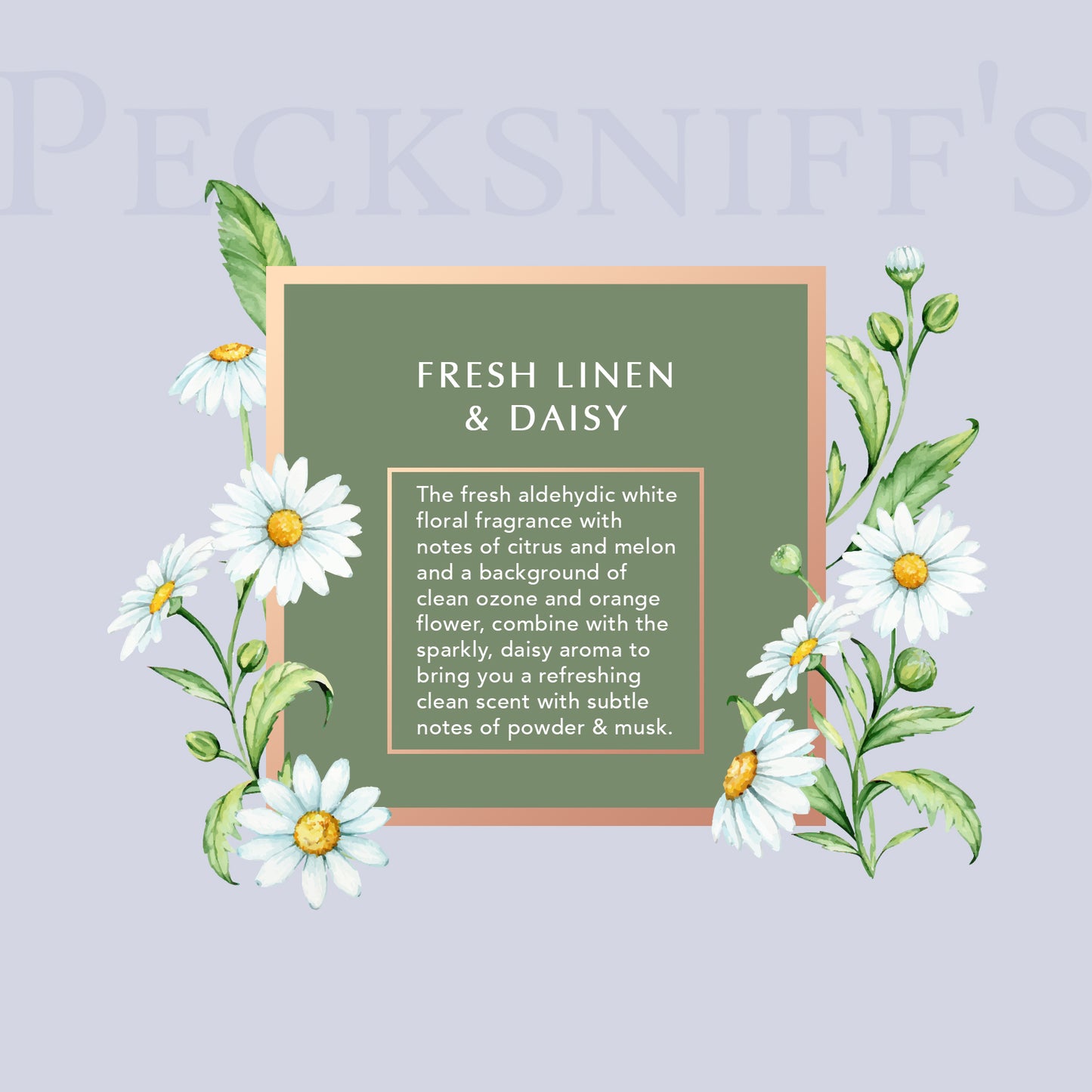 Pecksniffs Fresh Linen & Daisy Fine Fragrance Hand Wash in a Glass Bottle | 500ml, 16.9 Fl oz