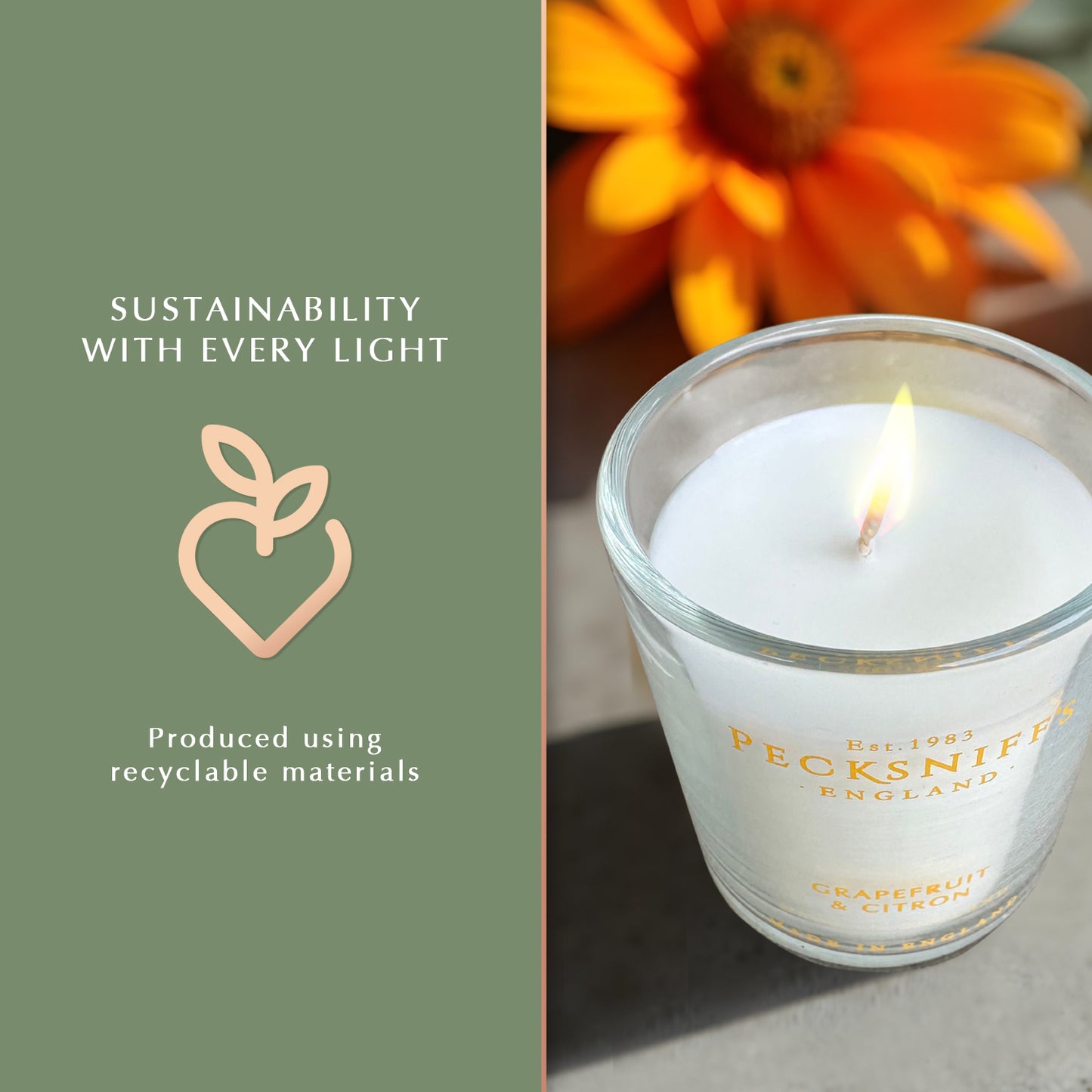 Pecksniff's Grapefruit & Citron Luxury Scented Candle | 1 Wick, 100 g/3.5 oz