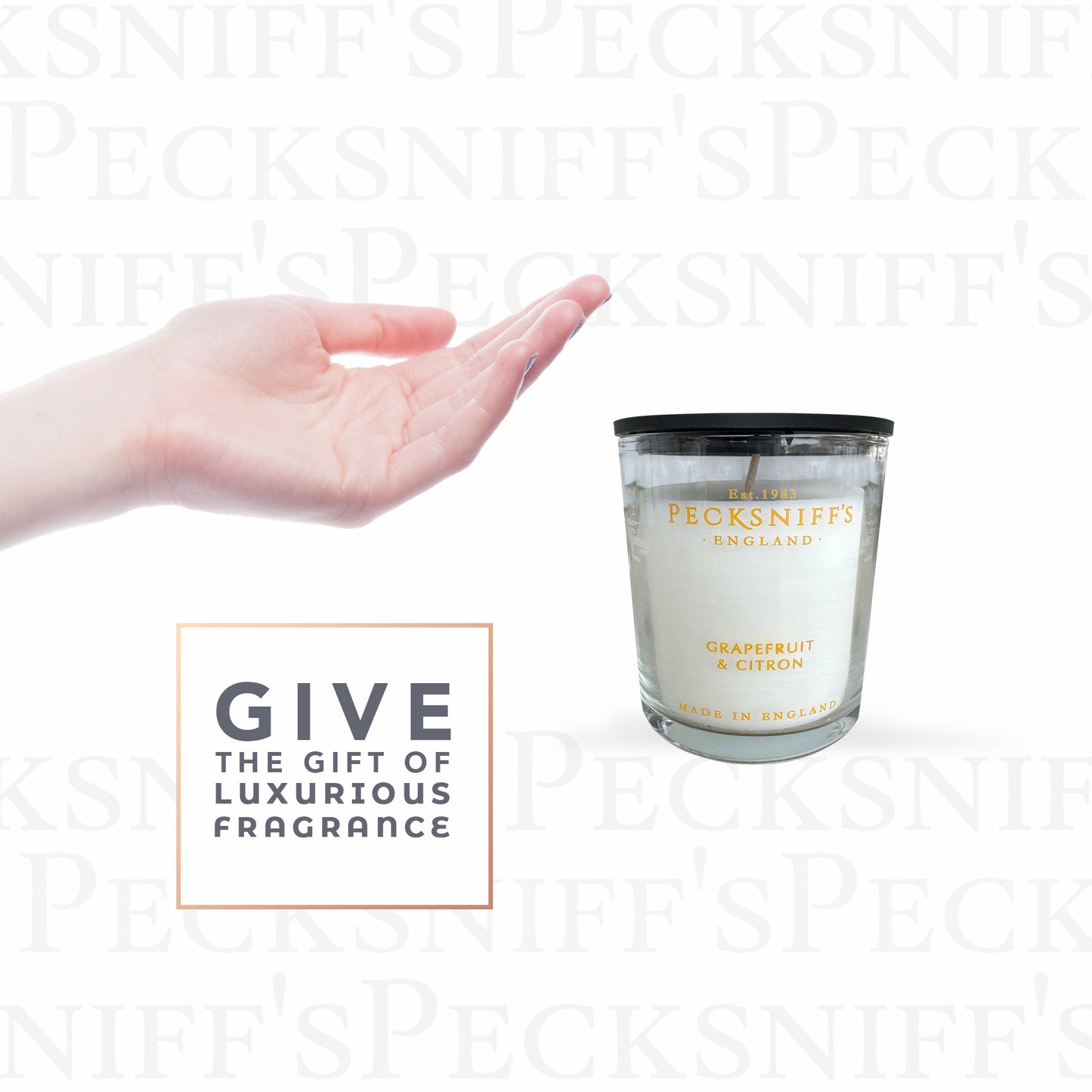 Pecksniff's Grapefruit & Citron Luxury Scented Candle | 1 Wick, 100 g/3.5 oz