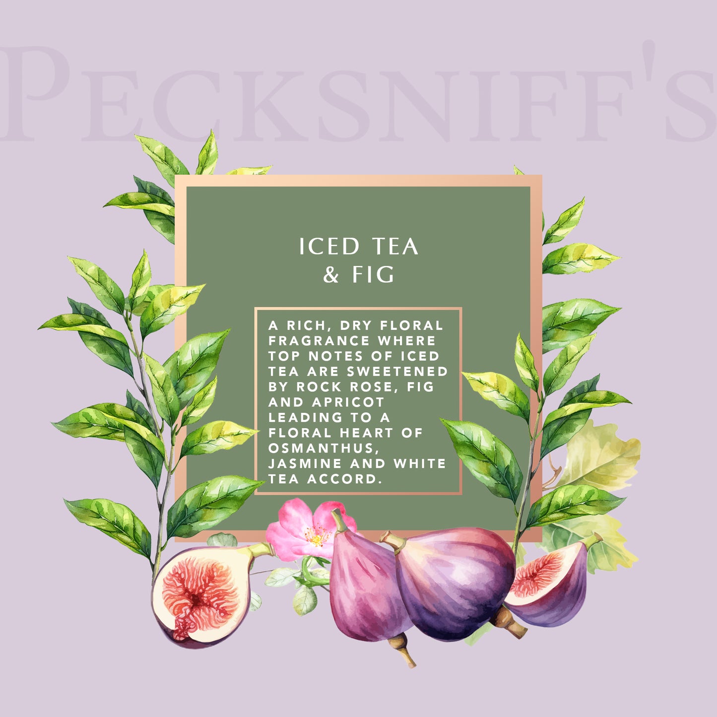 Pecksniff's Prestige Iced Tea & Fig Bath Soak Decanter | 500ml/16.9 Fl Oz