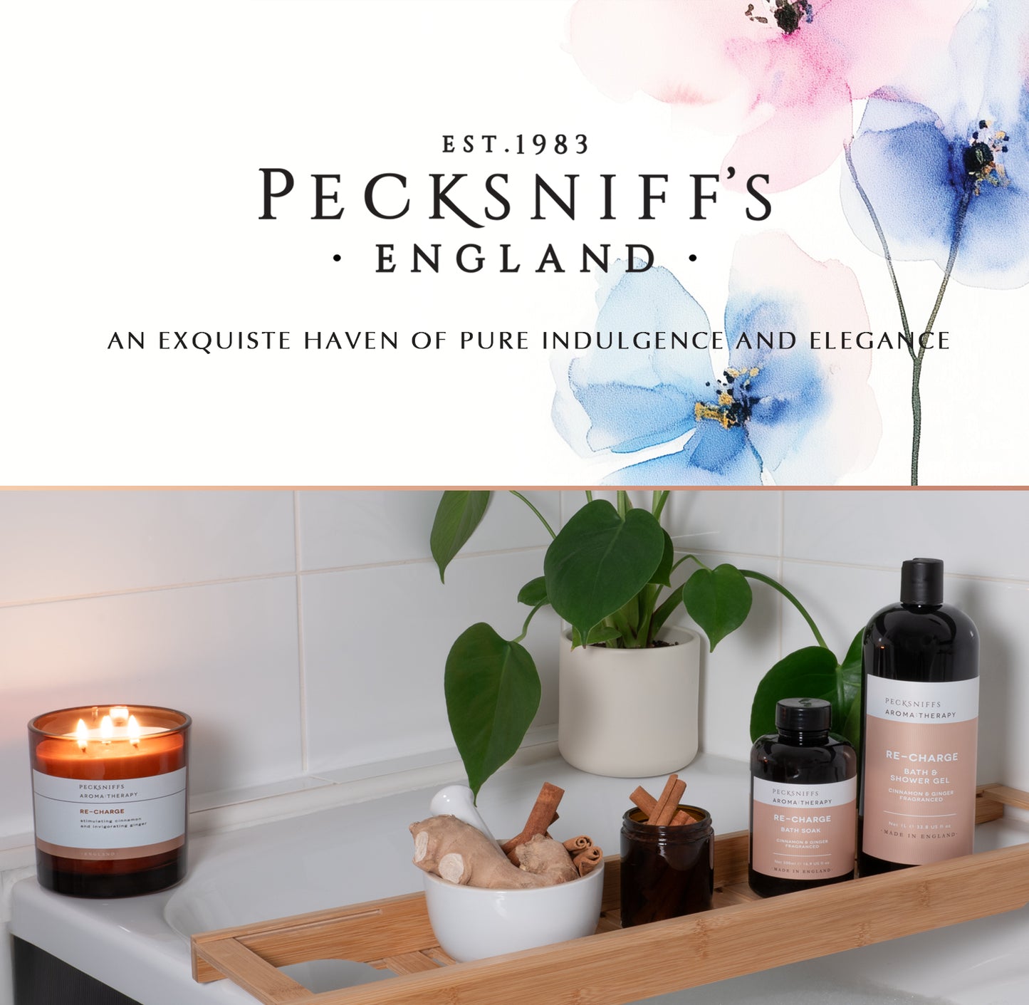 Pecksniff's Aroma:Therapy Re-Charge Shower Gel – Luxurious Moisturizing Bath & Body Cleanser, 1000 ml/33.8 fl oz Bottle