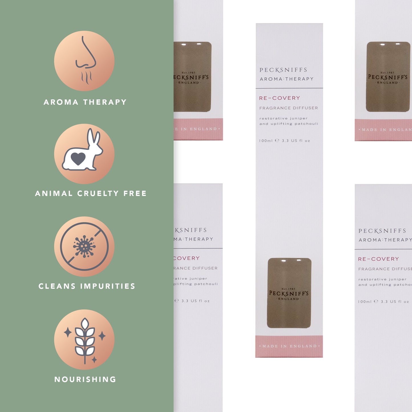 Pecksniff's Aroma Therapy Re-Covery Reed Diffuser, 100 ml/3.38 Fl Oz