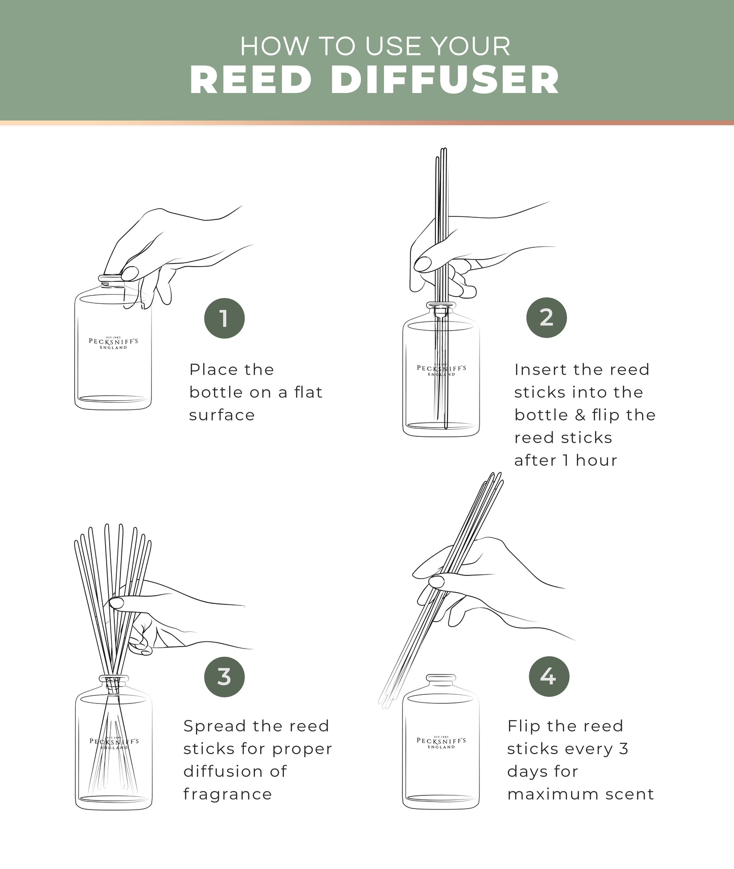 Pecksniff's Aroma Therapy Re-Covery Reed Diffuser, 100 ml/3.38 Fl Oz