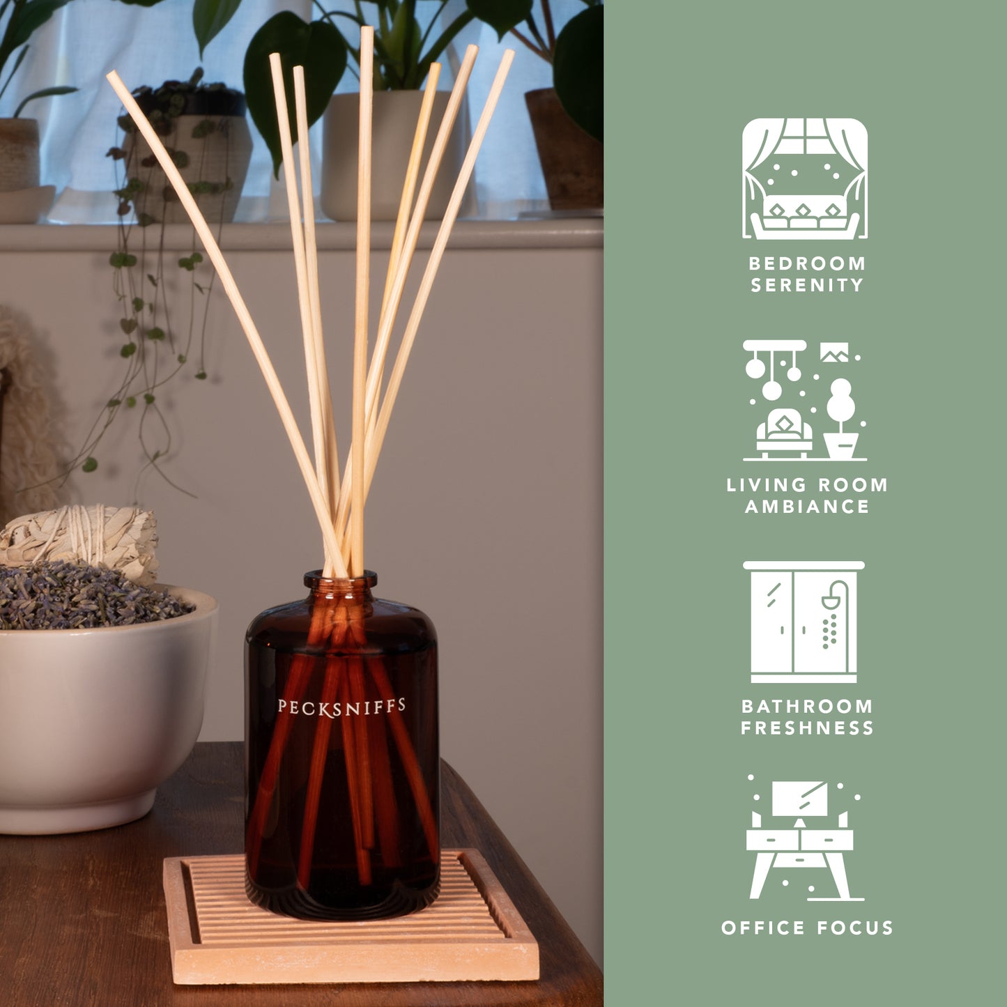 Pecksniff's Aroma Therapy Re-Covery Reed Diffuser, 100 ml/3.38 Fl Oz