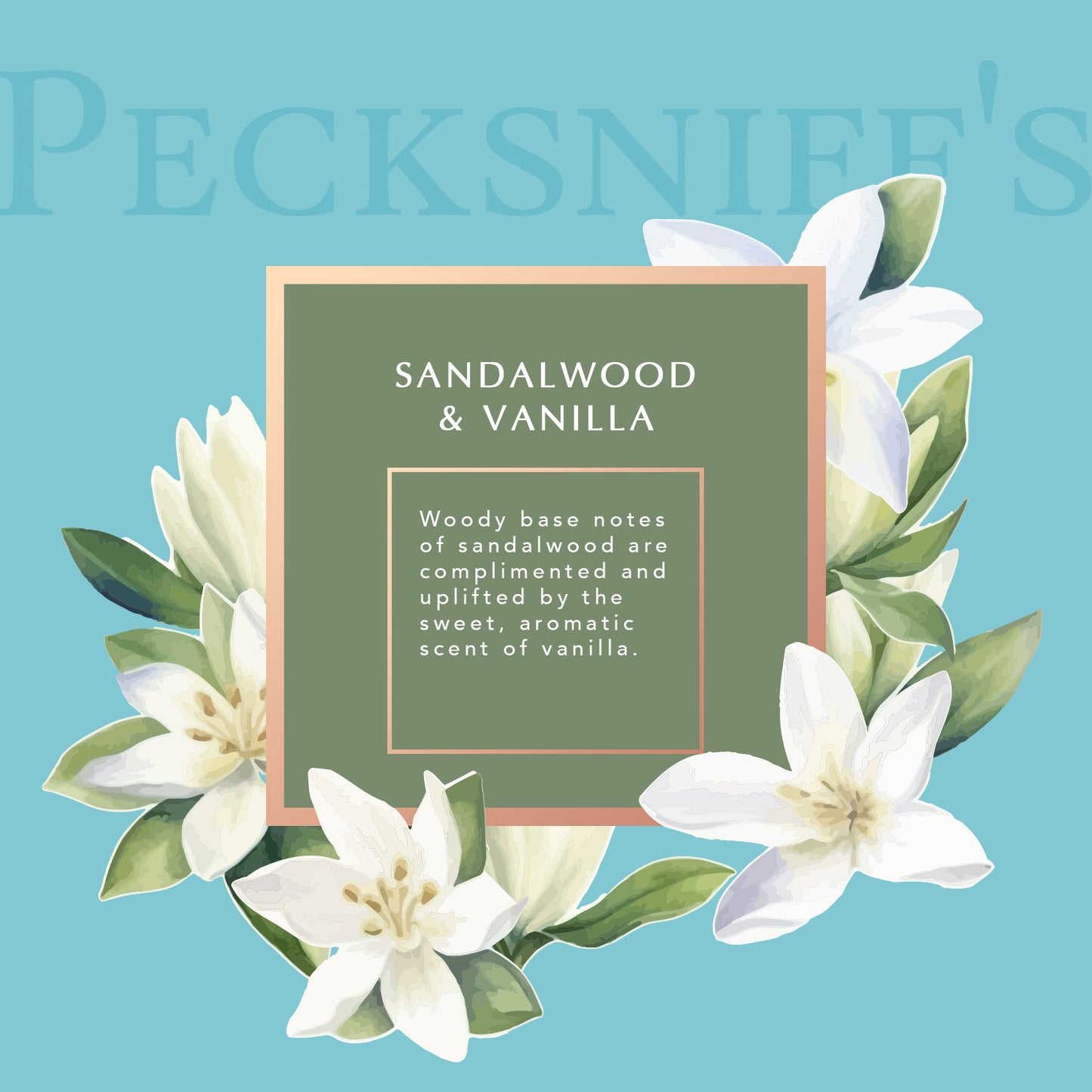Pecksniffs Sandalwood & Vanilla Moisturizing Shower Gel | 1000 ml / 33.80 Fl Oz