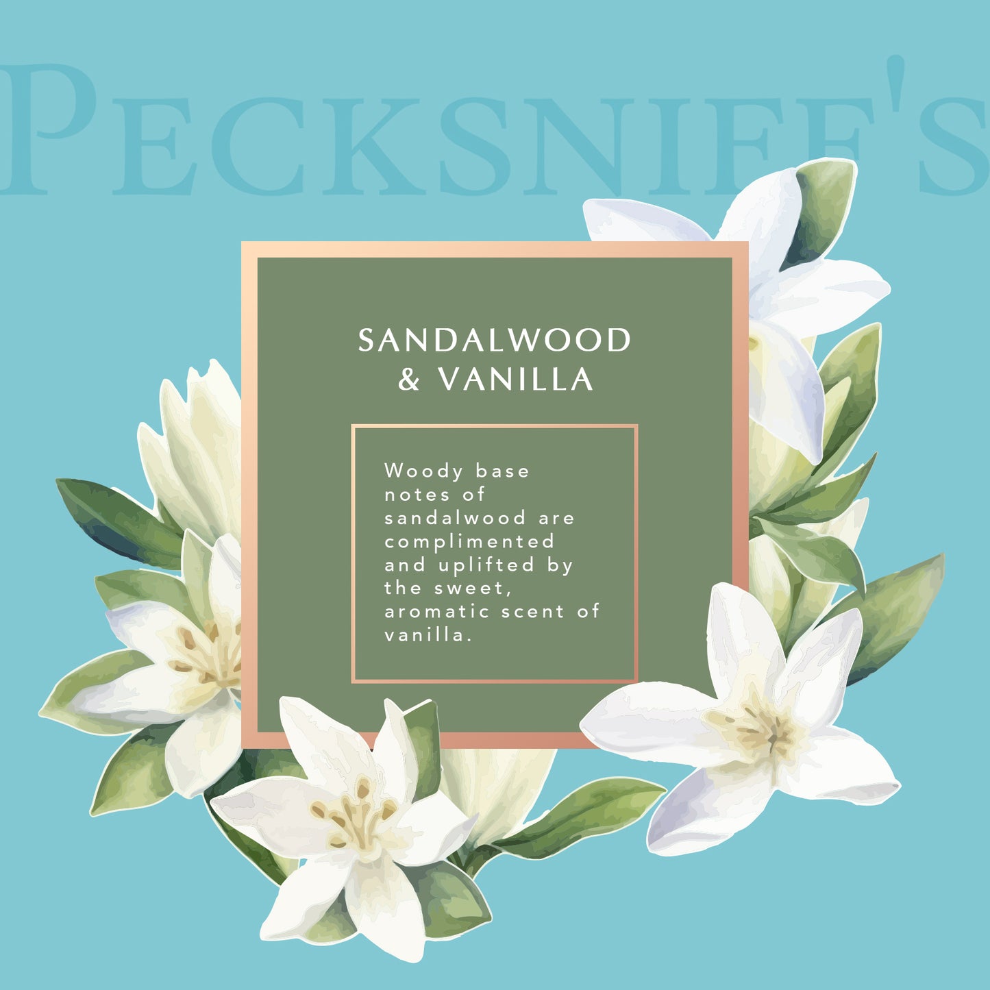 Pecksniff's Sandalwood & Vanilla Luxury Scented Candle | 1 Wick, 100 g/3.5 oz