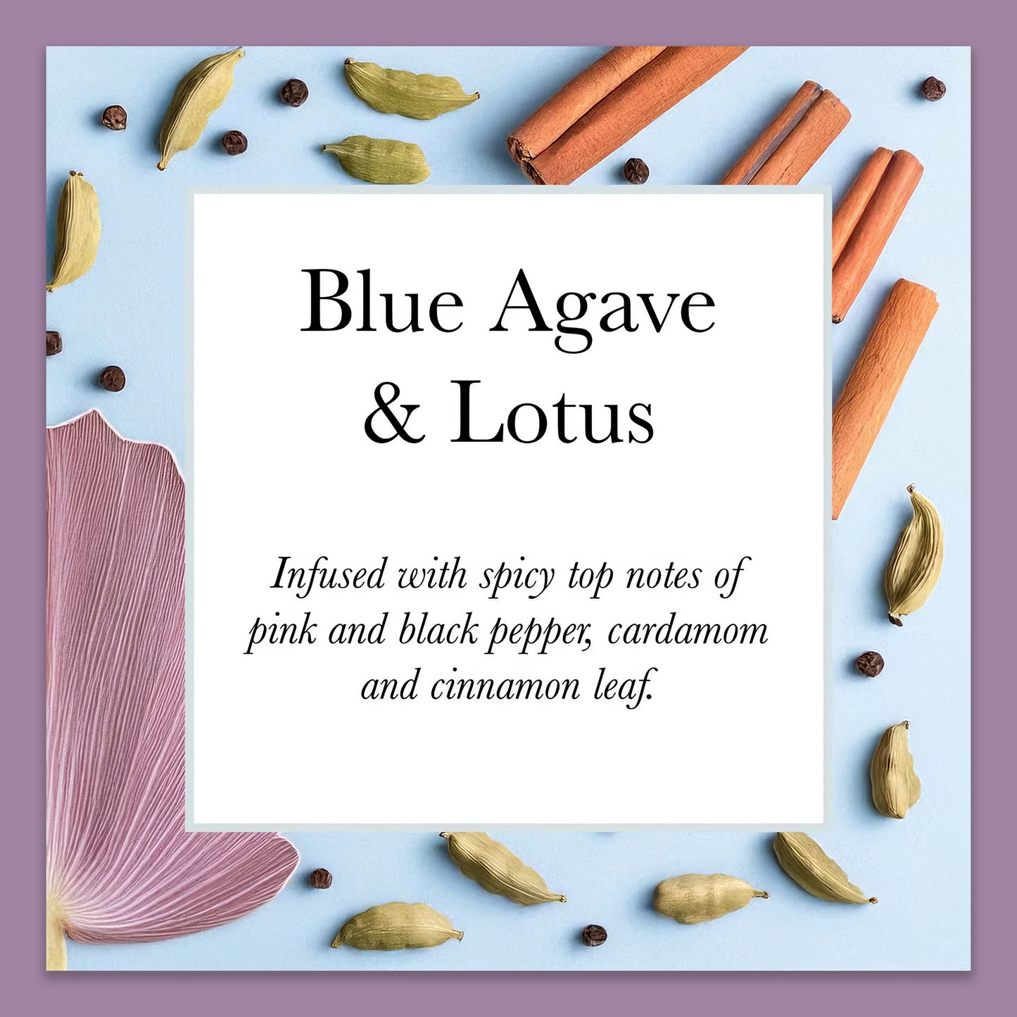 Olivia Blake Blue Agave & Lotus Perfume for Women – Fine Fragrance Eau de Cologne Spray, 100 ml/3.3 fl oz