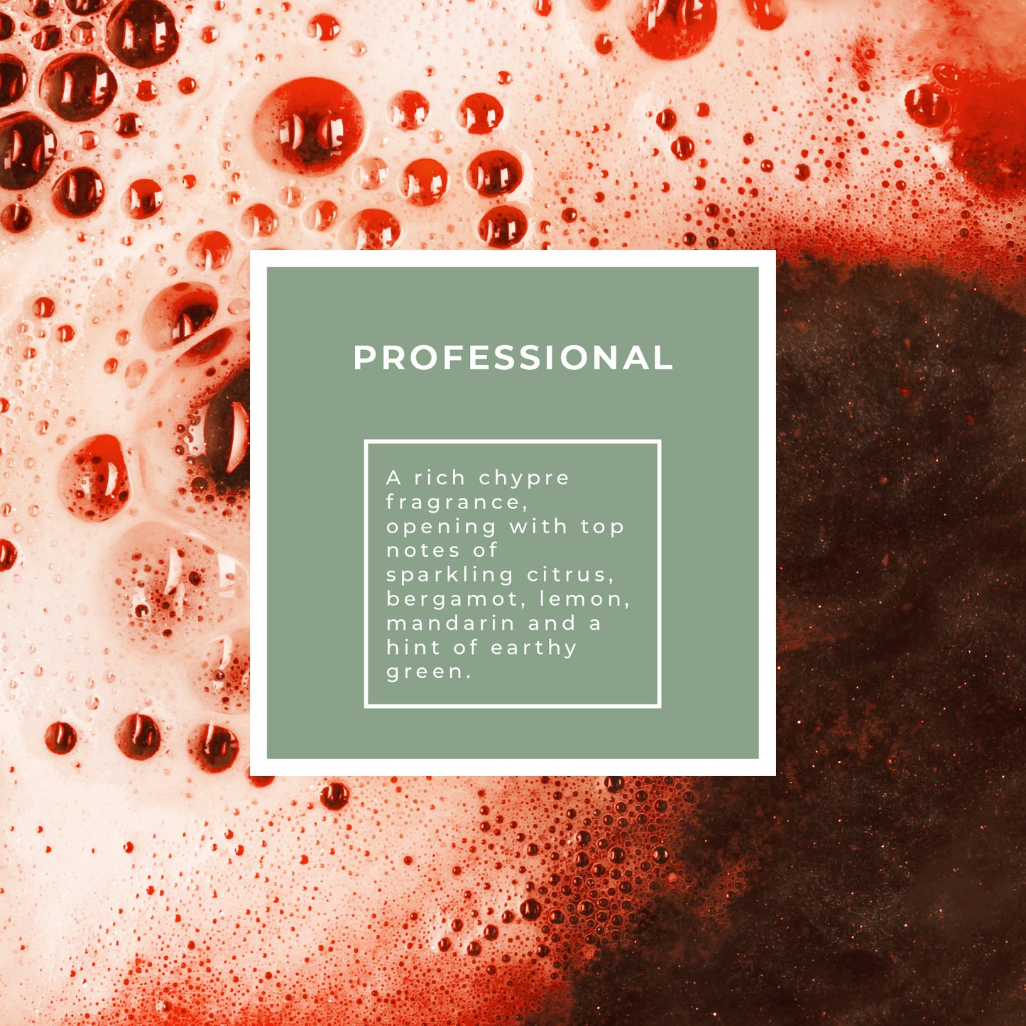 Pecksniffs Professional 3-In-1 Cleansing Gel | 1L/1000 ml/33.81 Fl Oz