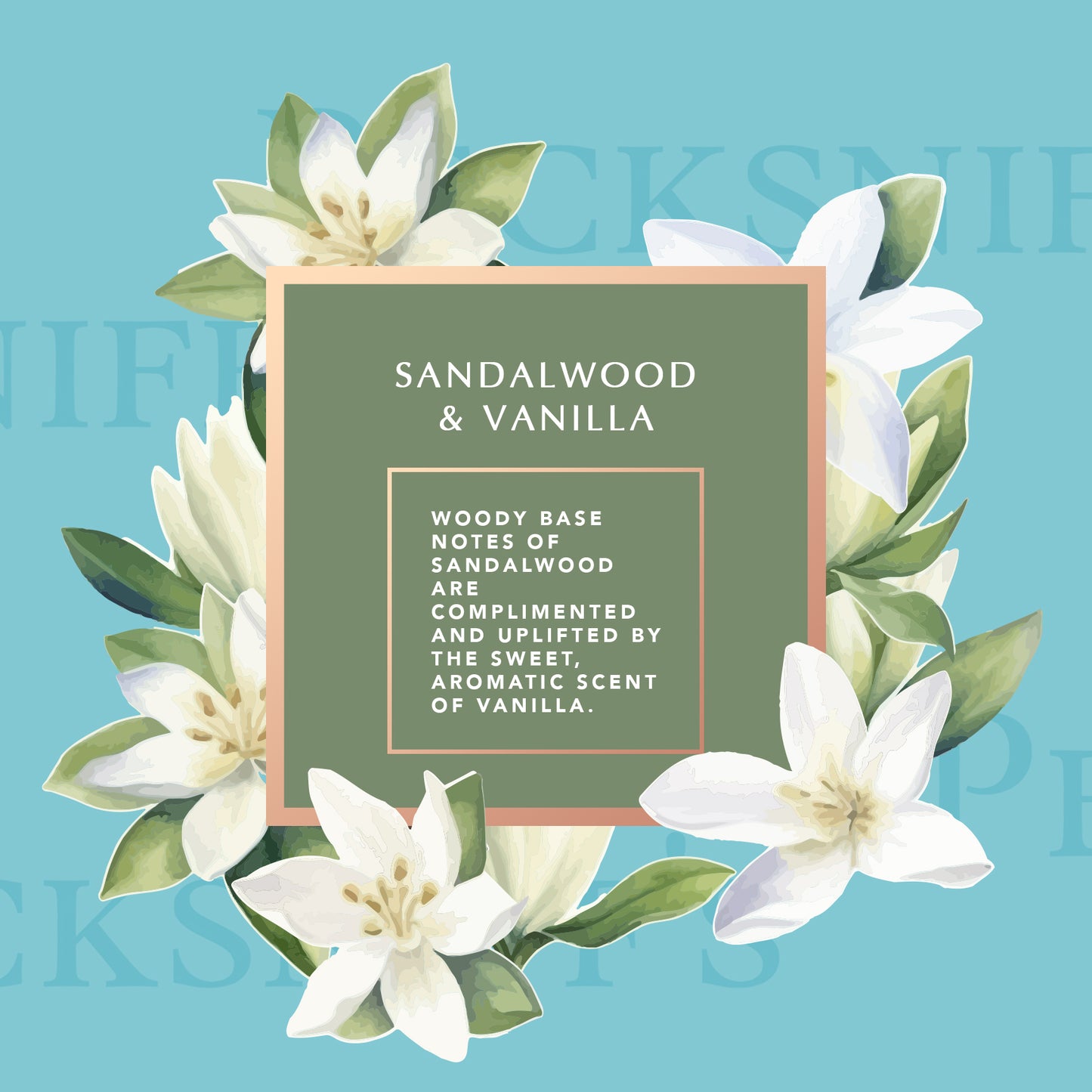 Pecksniffs Classic Sandalwood & Vanilla Scented Moisturizing Hand Wash | 500ml, 16.9 Fl oz