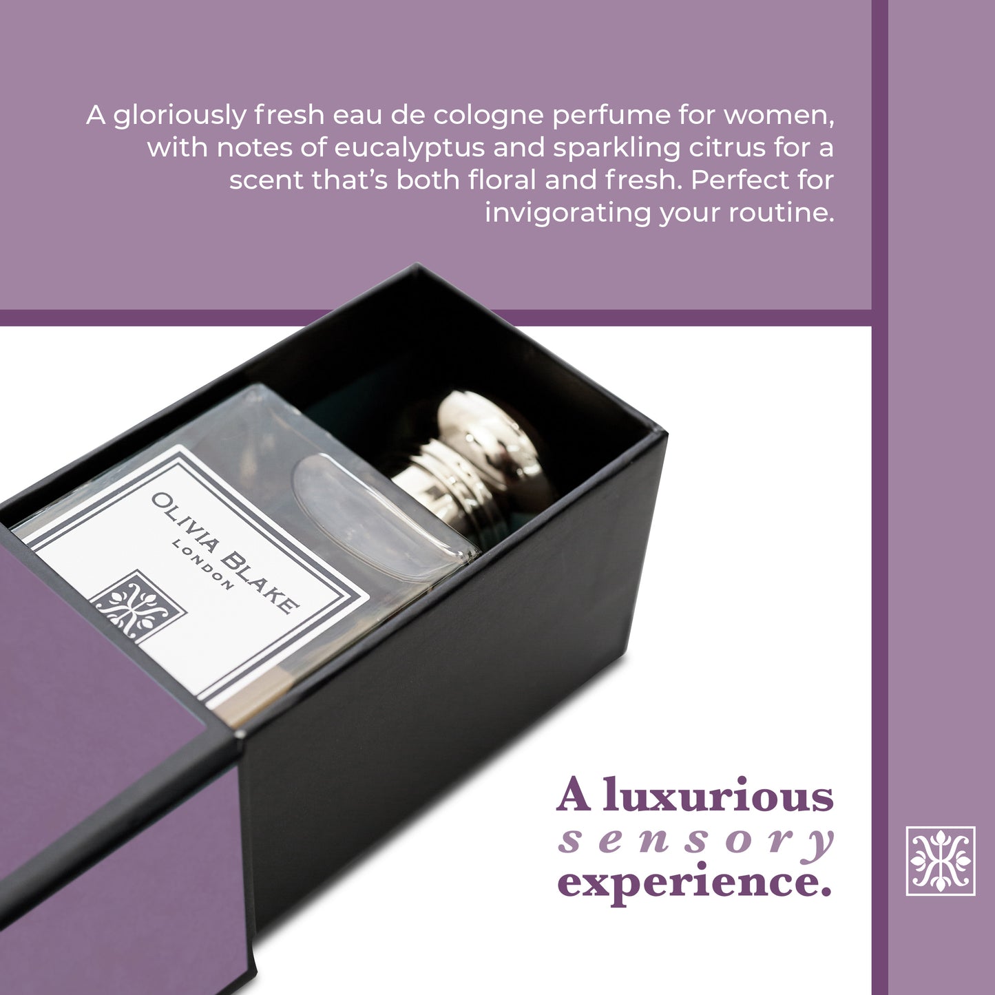 Olivia Blake Juniper & Cypress Perfume for Women – Fine Fragrance Eau de Cologne Spray, 100 ml/3.3 fl oz