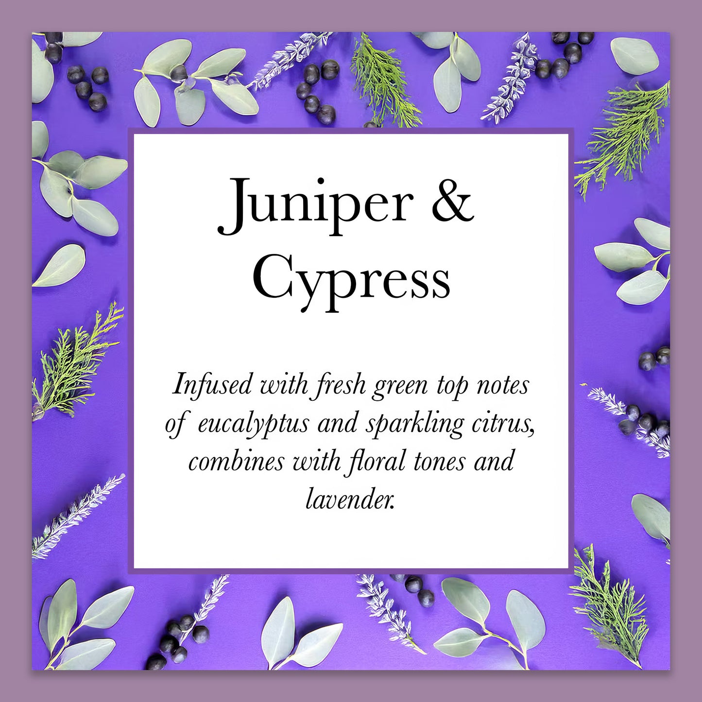 Olivia Blake Juniper & Cypress Perfume for Women – Fine Fragrance Eau de Cologne Spray, 100 ml/3.3 fl oz