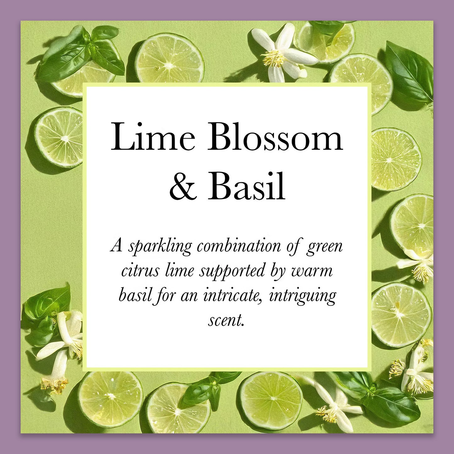 Olivia Blake Lime Blossom & Basil Perfume Roller Ball – 15 ml/0.52 fl oz Fine Fragrance Eau de Toilette, Travel Size Perfume for Women